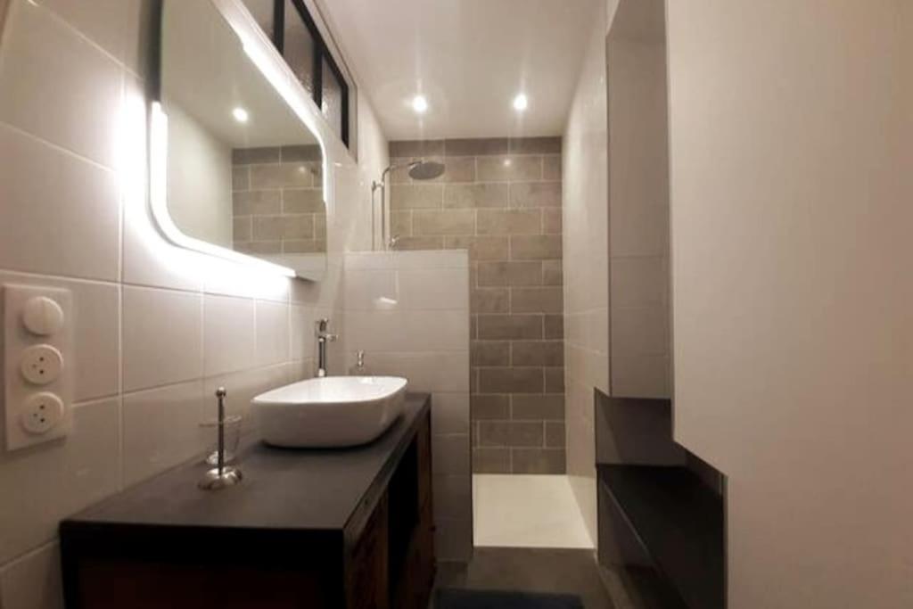 Classe 4 Etoiles - Cybele - Centre Ville 2 Chambres, Cour Privative Et Garage Vienne  Exteriör bild